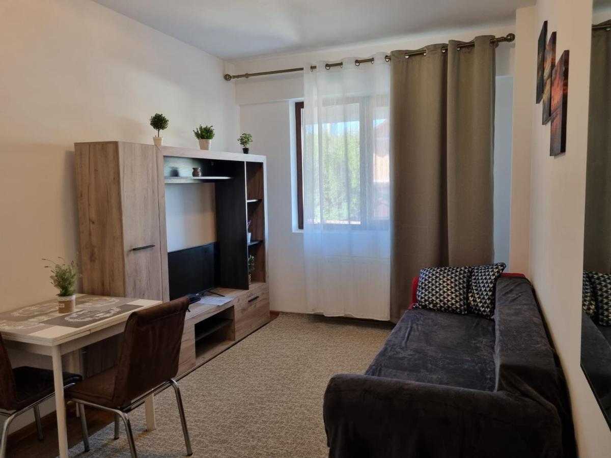 Ultracentral & Cozy, Palas Apt יאשי מראה חיצוני תמונה